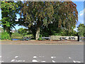 Picnic Tables by the Cree