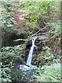 Afon Clydach at Pwll y rhys