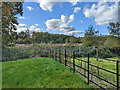 A glimpse of the railway, Forge Wood