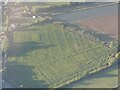 TF2259 : Cropmarks on field by Walnut Farm, Tattershall Thorpe: aerial 2022 (1) by Simon Tomson