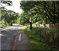 Bus stop, Pannal Road, Follifoot