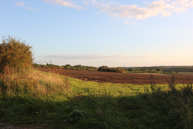 Fields by Two Mile Bottom, Thetford