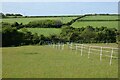 Pasture, St Agnes