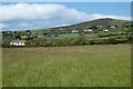 Pasture, St Agnes