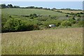 Farmland, St Agnes