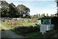 Allotments at Kirkley