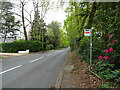 Bus stop on Hursley Road, Chandler