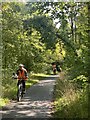 Cyclist and riders in Clyne Valley