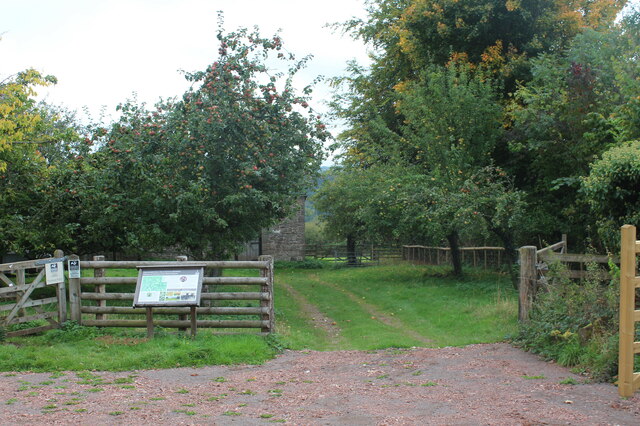 Track Through Orchard, Pentwyn Farm © M J Roscoe Cc-by-sa/2.0 ...