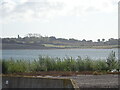 Abberton Reservoir from a permissive path; Near Layer-De-La Haye