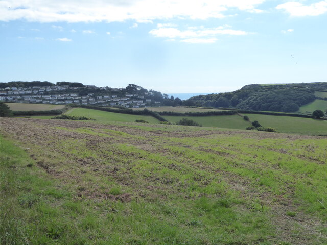 Fields above Maryknowle Farm
