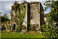 W8992 : Castles of Munster: Aghern, Cork (2) by Mike Searle