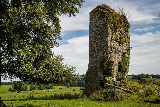 Castles of Munster: Ballyroberts, Cork (1)