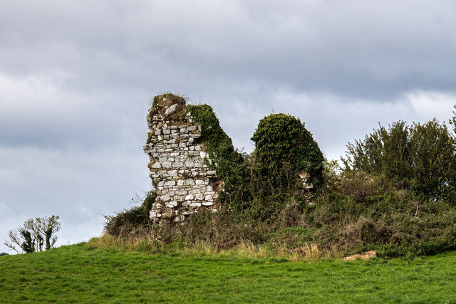 Castles of Munster: Ballyvodock, Cork (2)