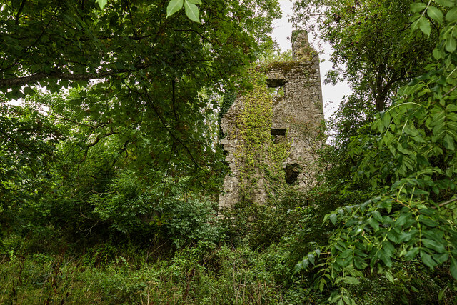 Castles of Munster: Carrigaline, Cork (2)