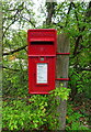 Elizabeth II postbox on Hursley Road, Chandler