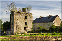 S3417 : Castles of Munster: Rathgormuck, Waterford (1) by Mike Searle