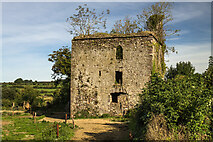 S3417 : Castles of Munster: Rathgormuck, Waterford (2) by Mike Searle