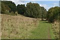 Riverside path between Teston and Barming