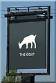 Sign for the Goat at Timsbury