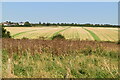 Farmland, Elham Valley