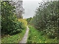 Path near Huthwaite