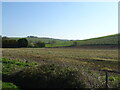 Stubble field, Stonymarsh