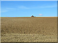 Autumn cultivation in North Essex