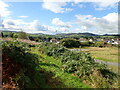 View West across Castlewellan from the Bunkers Hill Walk