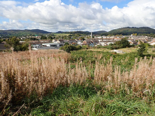 View West across the town of Castlewellan