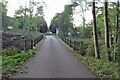 Avenue into Woodhall Park by Ware Lodge