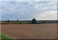 Farmland near Countesthorpe