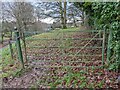 Gate by Castle Weir Farm (Lyonshall)