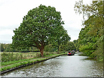 SJ9922 : Trent and Mersey Canal near Great Haywood in Staffordshire by Roger  D Kidd