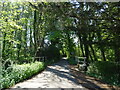 Road towards Mill House