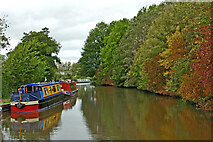 SJ9922 : Visitor moorings at Great Haywood in Staffordshire by Roger  D Kidd