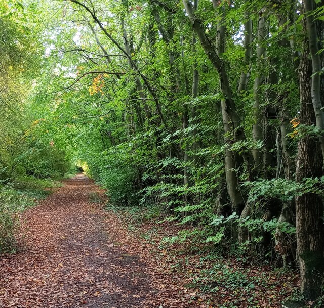 Track Alongside Golf Course © Jim Smillie Cc-by-sa/2.0 :: Geograph ...