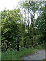 Sustrans milepost on Taff Trail near Abercynon