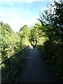 Taff Trail crossing the river north of Craig Berthlwyd