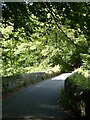 Taff Trail bridge over River Taff, west of Edwardsville