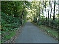 Taff Trail south of Aberfan