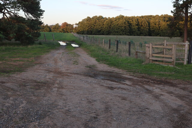 Fields and woods in Fakenham Magna © David Howard :: Geograph Britain ...