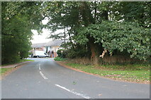TL8779 : Salmond Drive, Barnham by David Howard