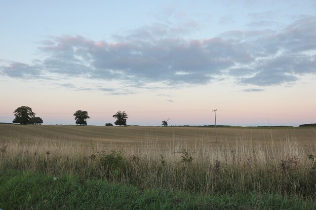 Field by Norwich Lane, Coney Weston