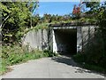 Taff Trail tunnel under A470 south of Aberfan