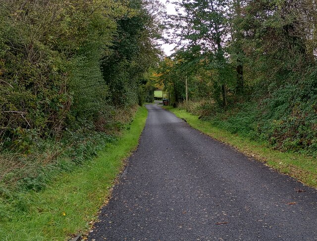 Road To Birdsmill House © Jim Smillie Cc-by-sa/2.0 :: Geograph Britain ...