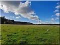 Morayshire Farmland