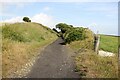 NZ9507 : The Cinder Track near Rain Dale by Jeff Buck