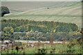 View across the Wylye Valley from Ebsbury Copse