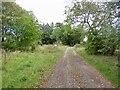NO3823 : Road passing Dandies Wood by Richard Webb